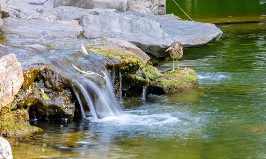 src=http___5b0988e595225.cdn.sohucs.com_images_20191009_cddb9ee4e4d94021bdf61edacfc6a7a9.JPG&refer=http___5b0988e595225.cdn.sohucs.jpg